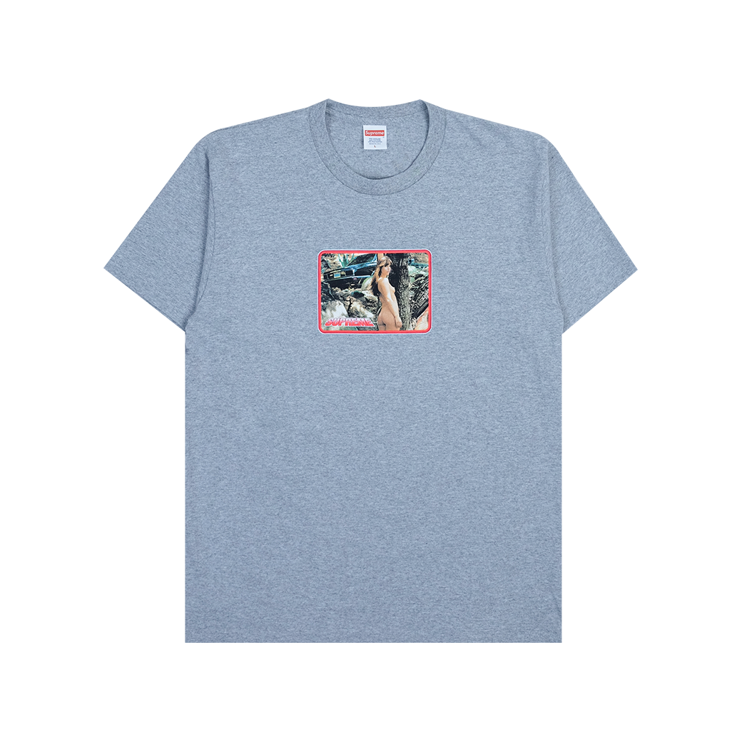 SUPREME LARRY CLARK GIRL T-SHIRT GREY